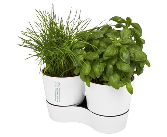 Mepal Herbs-Topf für die Küche, doppelt Weiß - Mepal 11315601