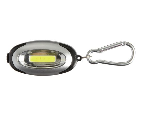 Schlüsselanhänger 'Express' aus Kunststoff Silber -  7280.032