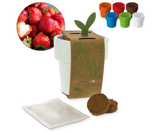 Hot-but-cool beker met aardbeien zaadjes Wit -  LT94552-N0001