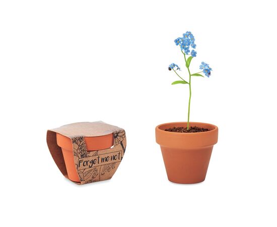 Potje Vergeet-me-nietjes Hout -  MO6146-40