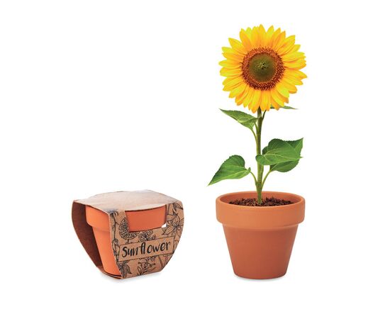 Potje Zonnebloem Hout -  MO6147-40