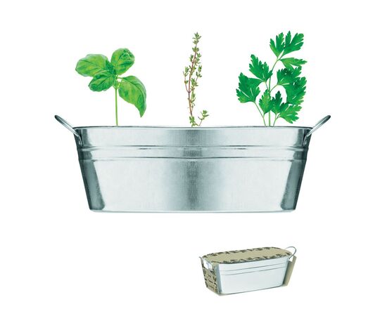 Zinc tub with 3 herbs seeds Matt silver -  MO6497-16