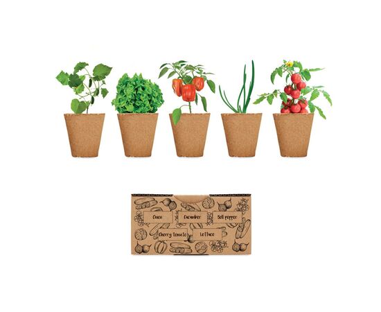 Kit de culture de salade Beige -  MO6499-13