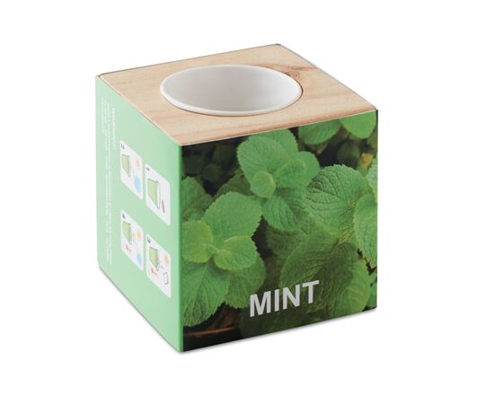 Pot en bois avec graine Bois -  MO9337-40