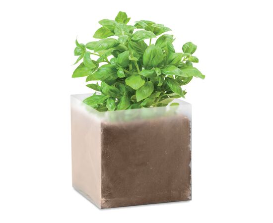 Basilicum zaadjes Beige -  MO9545-13