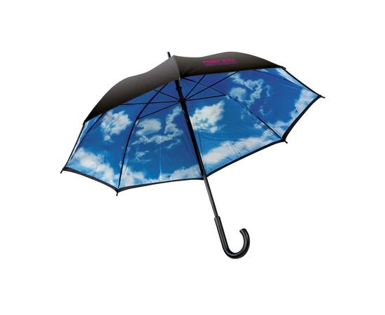 Image Cloudy Day parapluie 23 inch Sequoia -  632098