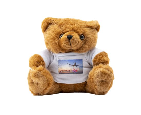 Big Browny Bear beer Bruin -  485340