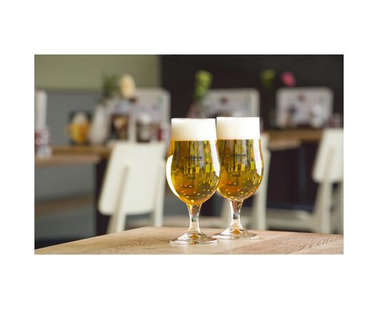 Munich Bierglas 370 ml Transparent -  273104