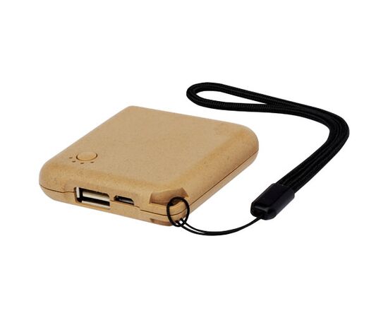 Batterie de secours Eco 2000 mAh Naturel - Unbranded 1Z71106B