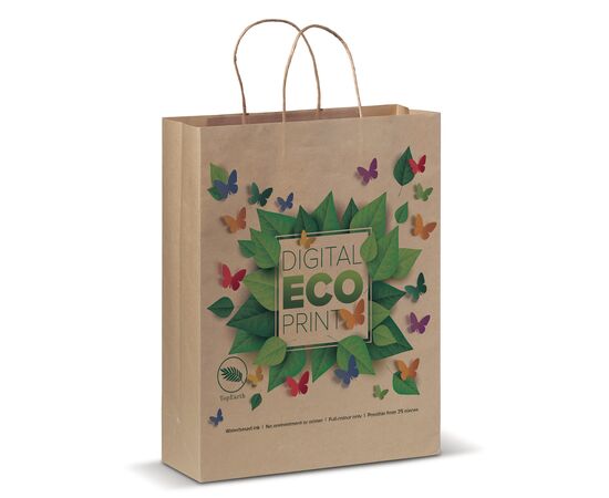 Sac en papier kraft 100g/m² 32x12x41cm Brun -  LT91624-N0051